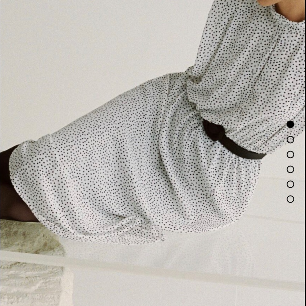 COPY - Zara Polka dot spotted belted dress midi bloggers